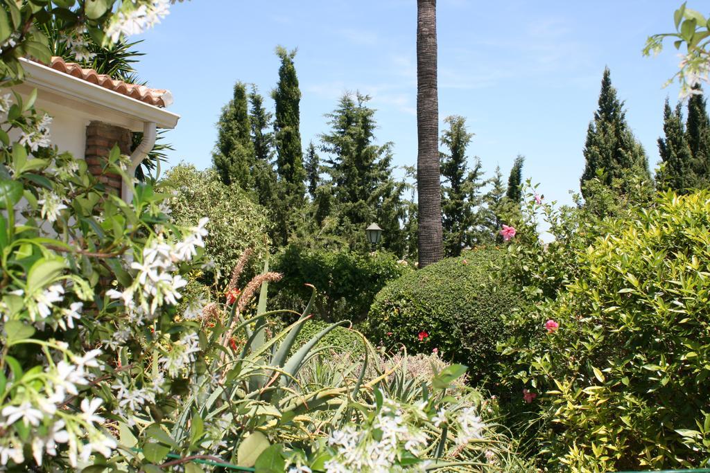 Cortijo Andaluz Bed & Breakfast Alhaurin el Grande Exterior photo
